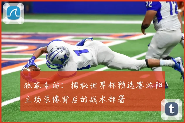 独家专访:揭秘世界杯预选赛沈阳主场录像背后的战术部署