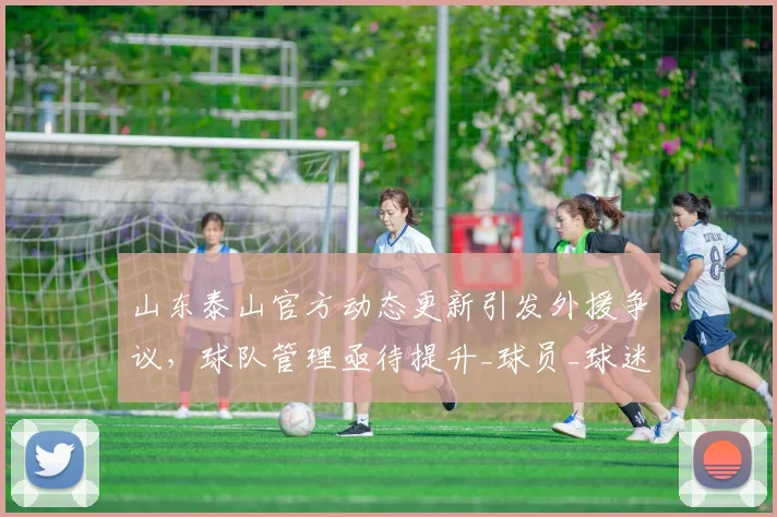 山东泰山官方动态更新引发外援争议，球队管理亟待提升_球员_球迷_赛季