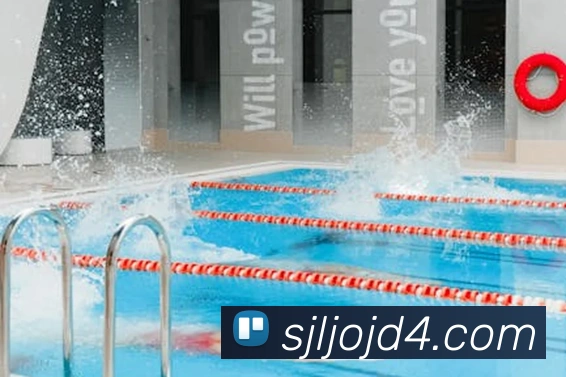 2026世界杯赛事官网平台生态图